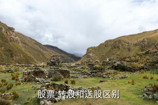 股票 轉股和送股區別
