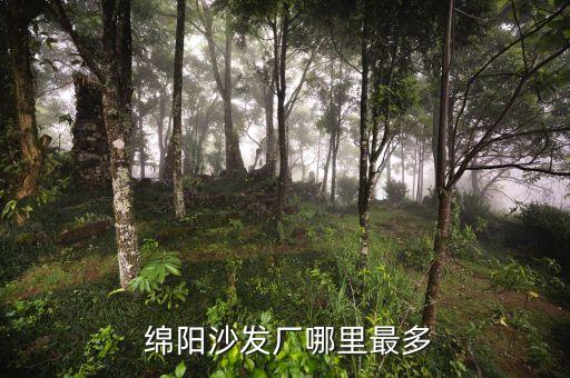  綿陽沙發廠哪里最多