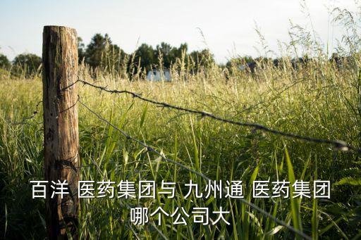百洋 醫藥集團與 九州通 醫藥集團哪個公司大