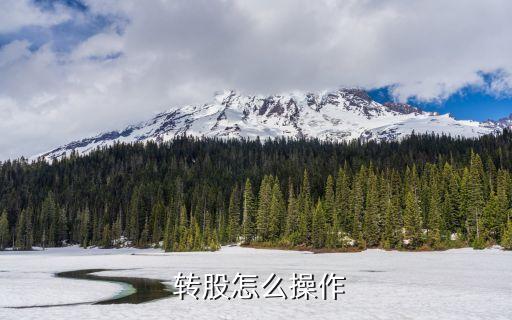  轉股怎么操作