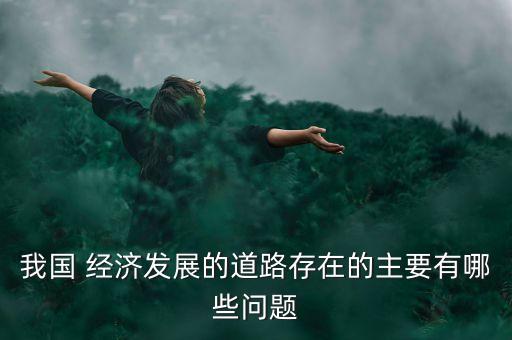 我國 經濟發展的道路存在的主要有哪些問題