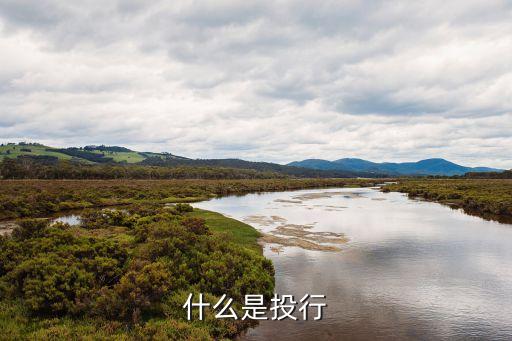 投資銀行與商業銀行,從機構的性質而言,投資銀行和商業銀行