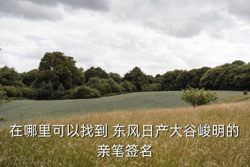 在哪里可以找到 東風日產大谷峻明的親筆簽名