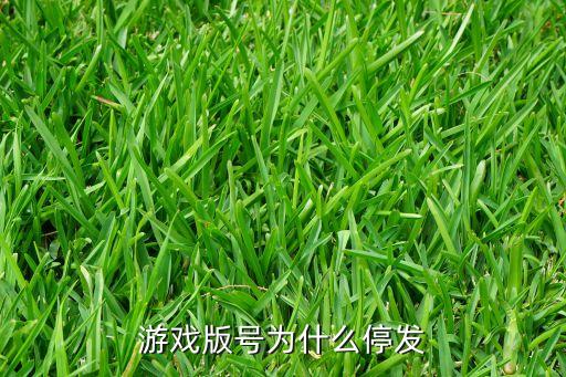 游戲版號為什么停發