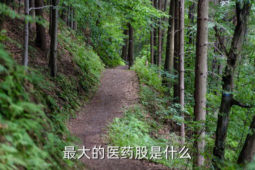 最大的醫藥股是什么