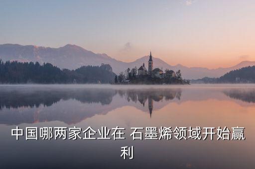 中國哪兩家企業在 石墨烯領域開始贏利