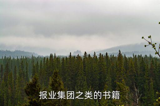 報業集團之類的書籍