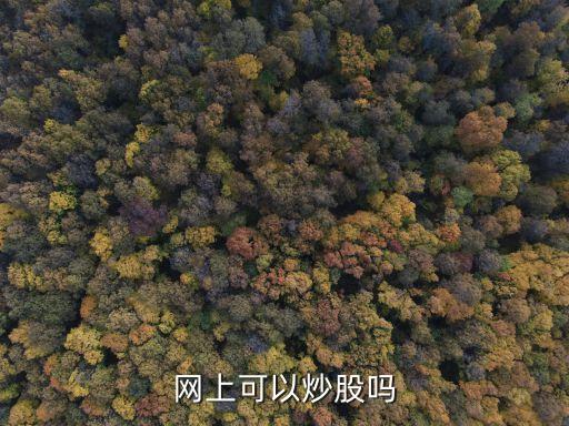 在線股票大廳,股票大廳的營業時間