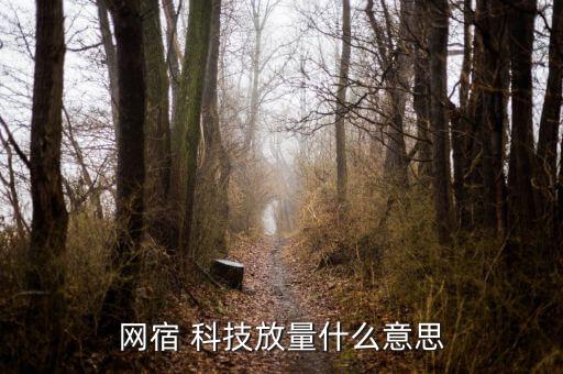 網速科技股票千股千評