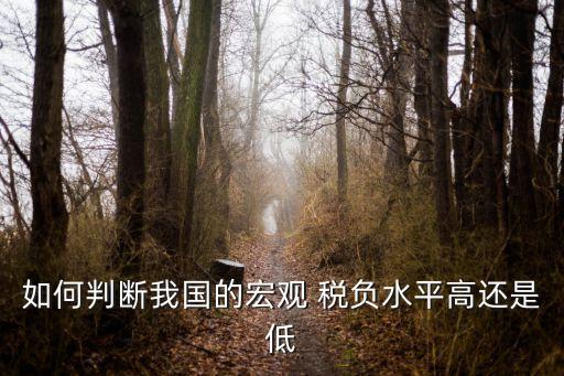中國稅負標準,現代服務業稅負標準