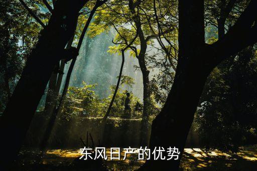  東風日產的優勢