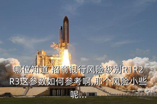 招商銀行融資結構表