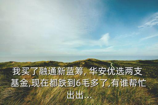 我買了融通新藍籌, 華安優選兩支 基金,現在都跌到6毛多了,有誰幫忙出出...