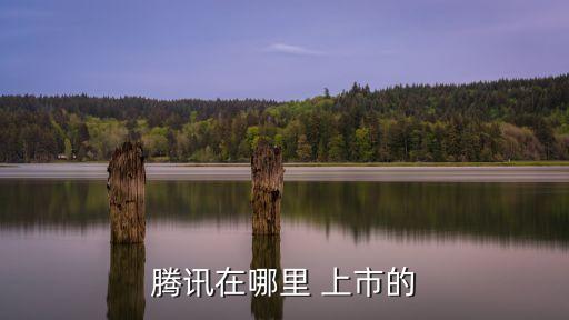 cdn上市公司,國內cdn龍頭上市公司