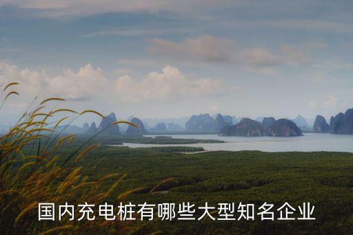 泰坦能源龐大集團,河北泰坦能源發展集團