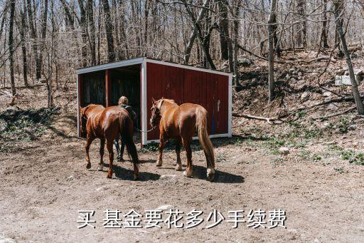 買 基金要花多少手續費