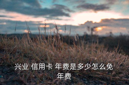  興業 信用卡 年費是多少怎么免 年費