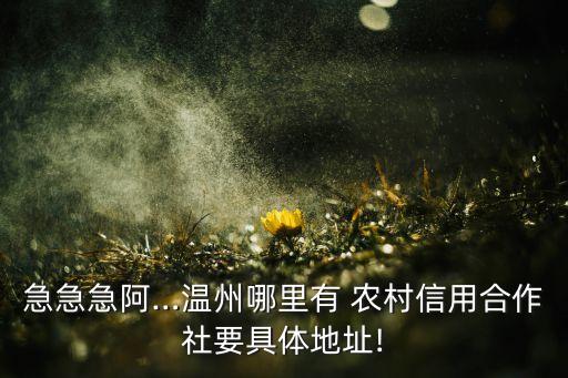 急急急阿…溫州哪里有 農村信用合作社要具體地址!