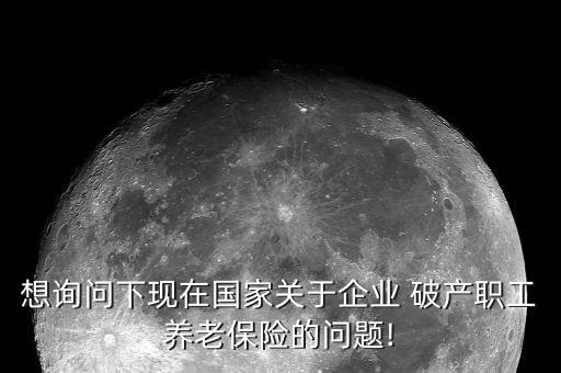 想詢問下現(xiàn)在國(guó)家關(guān)于企業(yè) 破產(chǎn)職工養(yǎng)老保險(xiǎn)的問題!