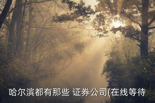 聯合證券有限公司,香港興偉聯合證券有限公司