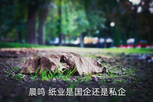 晨鳴紙業子公司