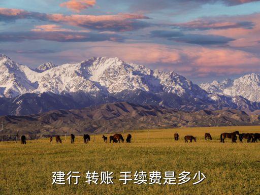 建行 轉賬 手續費是多少