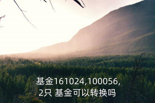 低碳環保基金有哪些