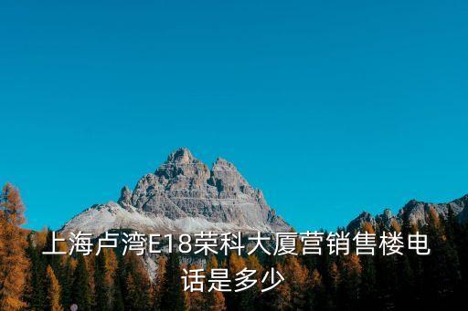  上海盧灣E18榮科大廈營(yíng)銷(xiāo)售樓電話(huà)是多少