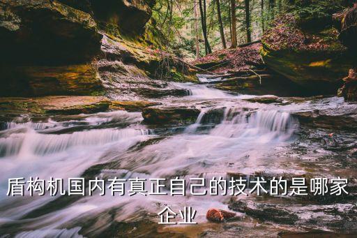 盾構機國內有真正自己的技術的是哪家企業