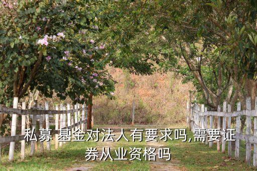  私募 基金對法人有要求嗎,需要證券從業資格嗎