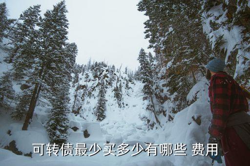 發行可轉換公司債券的交易費用,可轉換公司債券的交易費用計入什么科目