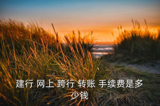 建行 網上 跨行 轉賬 手續費是多少錢