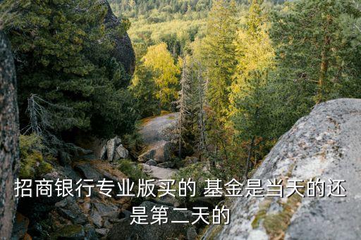 招商銀行專業版買的 基金是當天的還是第二天的