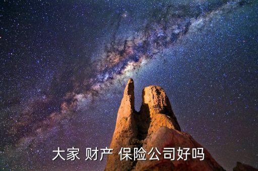 大家 財產 保險公司好嗎