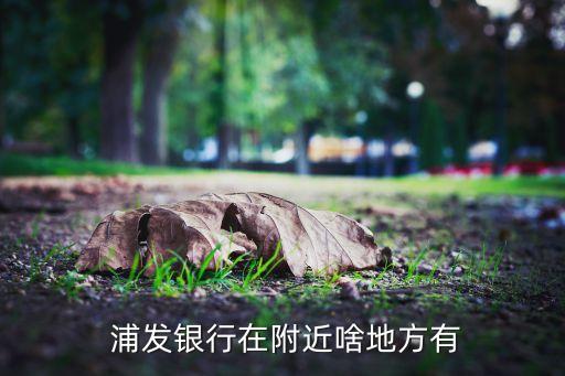  浦發銀行在附近啥地方有