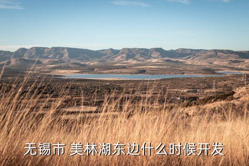 無錫市 美林湖東邊什么時候開發