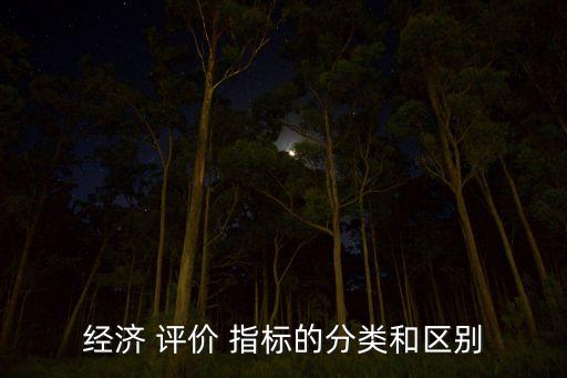 經濟 評價 指標的分類和區別