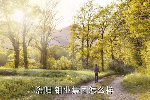 洛陽 鉬業集團怎么樣