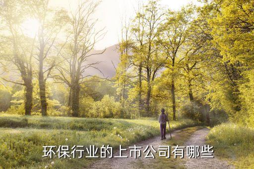  環保行業的上市公司有哪些