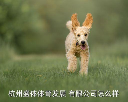 杭州盛體體育發展 有限公司怎么樣
