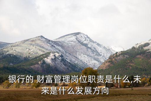 銀行的 財富管理崗位職責是什么,未來是什么發展方向