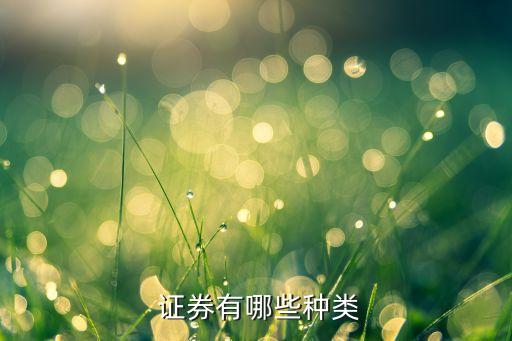 公司可以是什么證券發行主體,以下不是證券發行主體的是什么