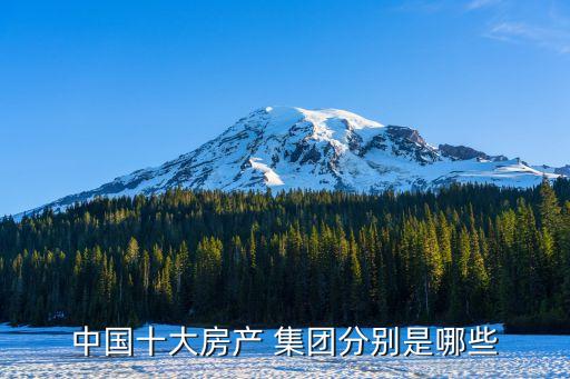 中國十大房產 集團分別是哪些