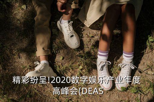 互聯網電影上海高峰會