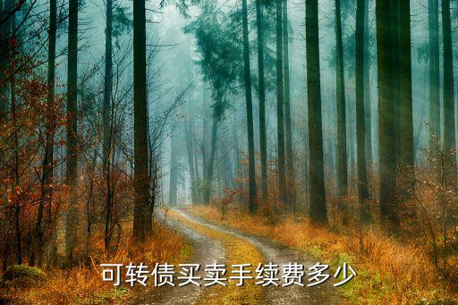 可轉債買賣手續費多少