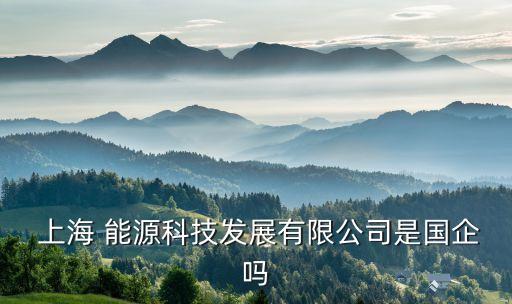  上海 能源科技發展有限公司是國企嗎