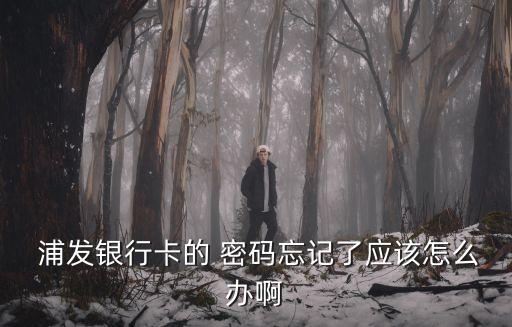 浦發銀行支票密碼,上海浦發銀行支票樣子