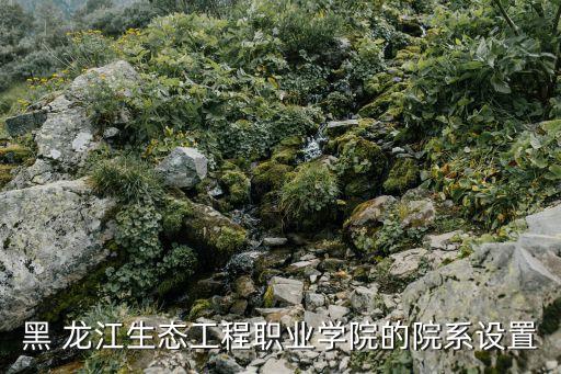 龍江環保集團股份有限公司