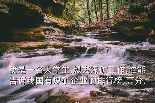 我是一名大學生,想去煤礦工作,誰能告訴我國有煤礦企業的排行榜,高分...