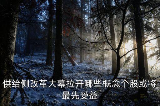 供給側改革大幕拉開哪些概念個股或將最先受益